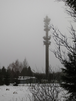 IMG_1751.jpg